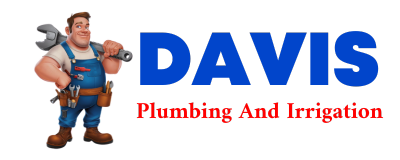 Trusted plumber in DANCIGER